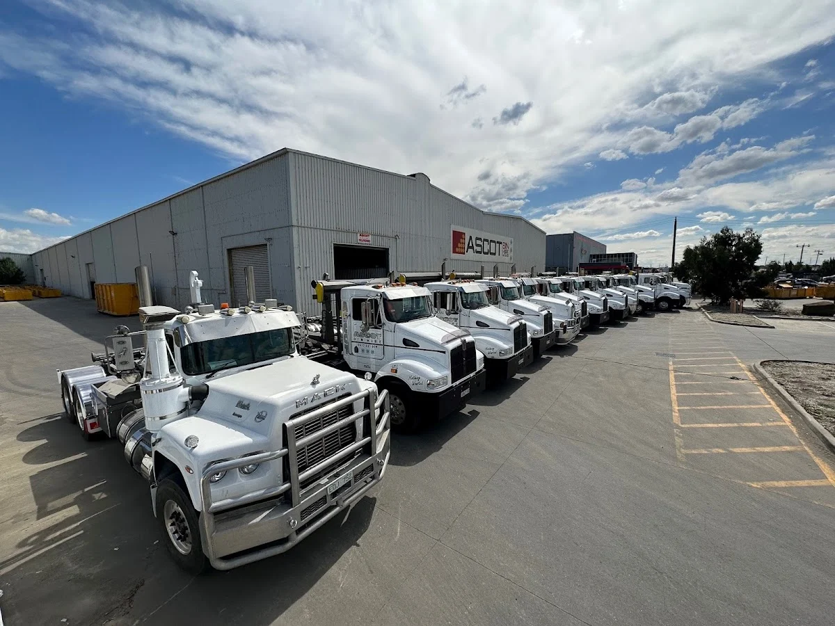 Ascot Bin Hire - 4