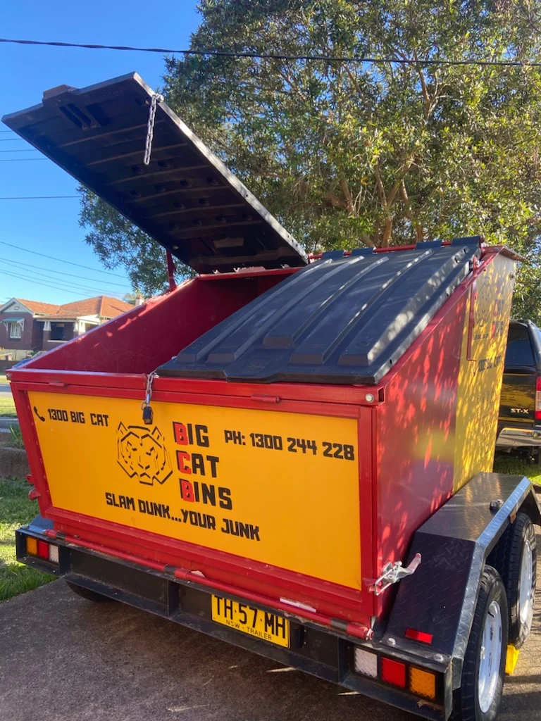 BIG CAT BINS