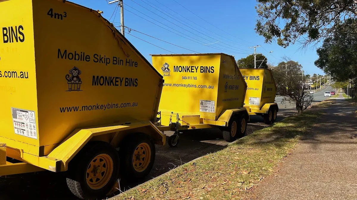 Monkey Bins